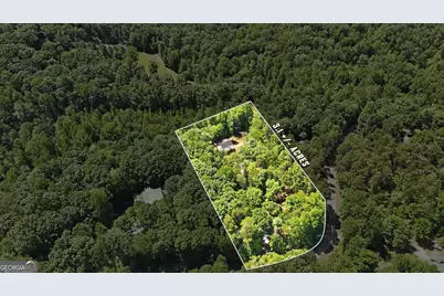 527 Jim Carter Road, Clarkesville, GA 30523 - Photo 3