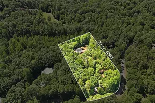527 Jim Carter Rd, Clarkesville, GA 30523 - Photo 3