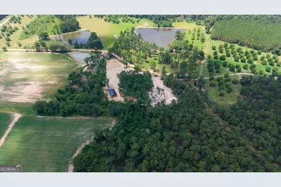 0 Pittman Rd, Cobbtown, GA 30420 - Photo 1