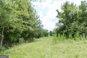 348 Americus Hwy, Butler, GA 31006 - Photo 51