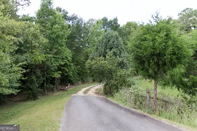 348 Americus Highway, Butler, GA 31006 - Photo 57
