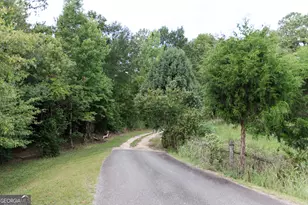 348 Americus Hwy, Butler, GA 31006 - Photo 57
