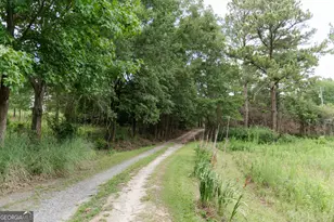 348 Americus Hwy, Butler, GA 31006 - Photo 55