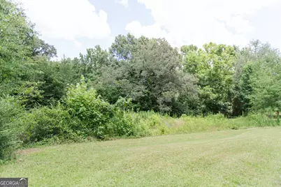 348 Americus Highway, Butler, GA 31006 - Photo 49