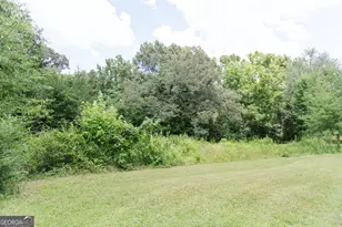348 Americus Hwy, Butler, GA 31006 - Photo 49