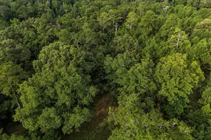 348 Americus Hwy, Butler, GA 31006 - Photo 69