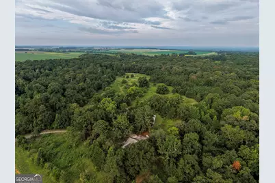 348 Americus Highway, Butler, GA 31006 - Photo 65