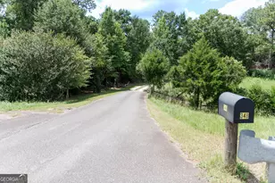 348 Americus Hwy, Butler, GA 31006 - Photo 59