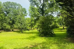 3799 Jonathans Roost Rd, Williamson, GA 30292 - Photo 3
