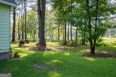110 Bethel Village Road, Eastman, GA 31023 - Photo 95