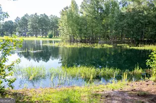 110 Bethel Village Rd, Eastman, GA 31023 - Photo 97