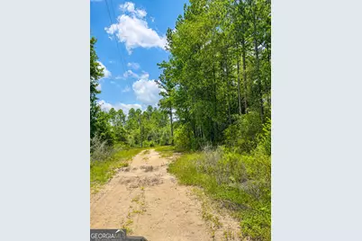 61 Drury Lane, Hortense, GA 31543 - Photo 3