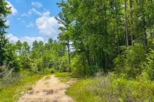 61 Drury Ln, Hortense, GA 31543 - Photo 3