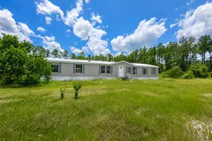 61 Drury Ln, Hortense, GA 31543 - Photo 1