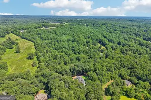 881 River Chase, Hoschton, GA 30548 - Photo 53