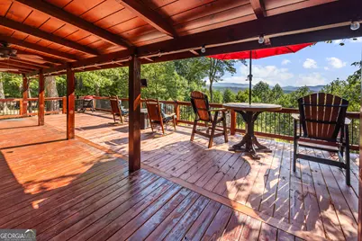 832 Scenic Mountain View Road, Blue Ridge, GA 30513 - Photo 39