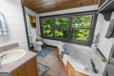 832 Scenic Mountain View Road, Blue Ridge, GA 30513 - Photo 21