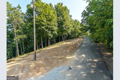 294 Adair Drive NE, Ranger, GA 30734 - Photo 7
