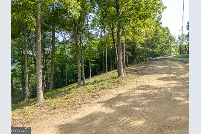 294 Adair Drive NE, Ranger, GA 30734 - Photo 9