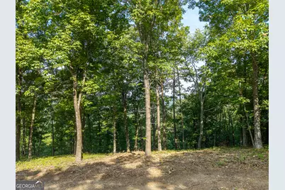 294 Adair Drive NE, Ranger, GA 30734 - Photo 13