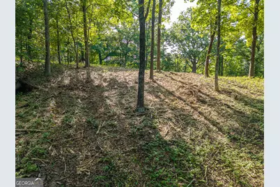 294 Adair Drive NE, Ranger, GA 30734 - Photo 11