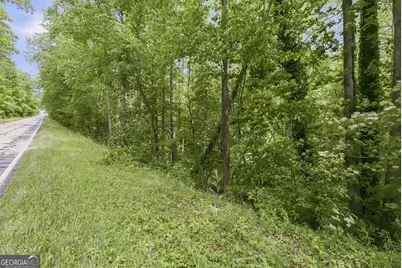 0 Habersham Mills Road, Demorest, GA 30535 - Photo 3