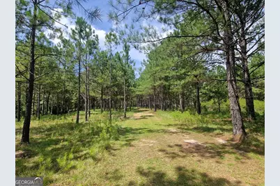 1214 Ga Highway 21 E, Millen, GA 30442 - Photo 11