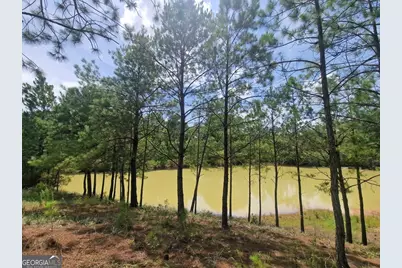 1214 Ga Highway 21 E, Millen, GA 30442 - Photo 13