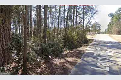 0 Lang Road, Covington, GA 30014 - Photo 3