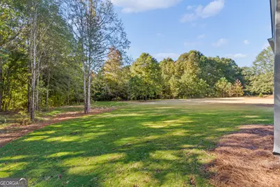 195 Farr Lake Drive, Tyrone, GA 30290 - Photo 3