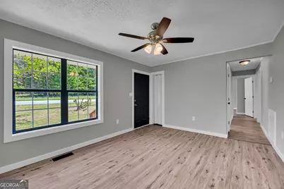 3871 Highway 17, Canon, GA 30520 - Photo 7