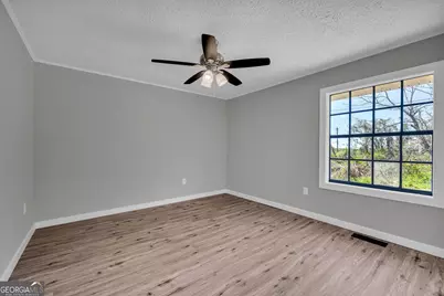 3871 Highway 17, Canon, GA 30520 - Photo 19