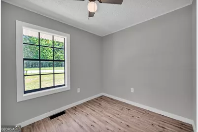 3871 Highway 17, Canon, GA 30520 - Photo 13