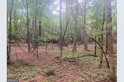 0 Seabolt Drive, Locust Grove, GA 30248 - Photo 21