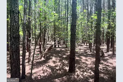 0 Seabolt Drive, Locust Grove, GA 30248 - Photo 3