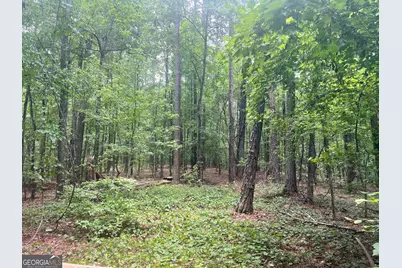 0 Seabolt Drive, Locust Grove, GA 30248 - Photo 13