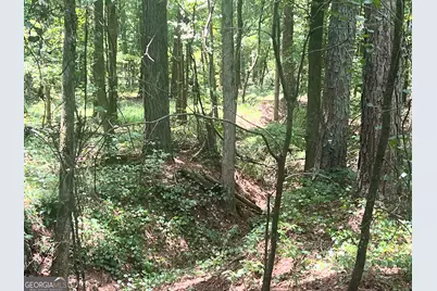 0 Seabolt Drive, Locust Grove, GA 30248 - Photo 17