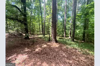 0 Seabolt Drive, Locust Grove, GA 30248 - Photo 9
