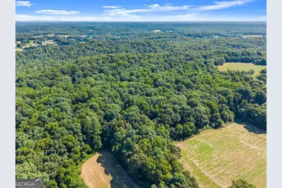 0 Prospect Road, Carnesville, GA 30521 - Photo 37