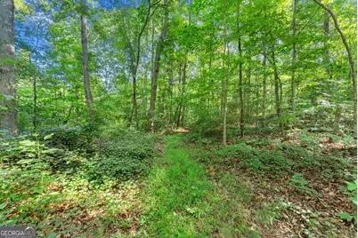 0 Prospect Road, Carnesville, GA 30521 - Photo 5