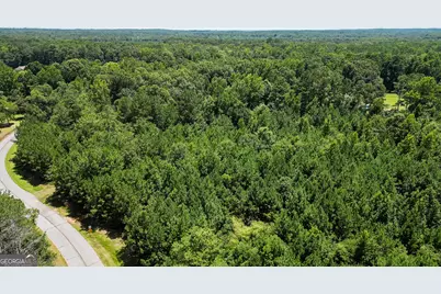 0 Overland Trail, Sharpsburg, GA 30277 - Photo 3