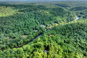 685 Cross Creek, Mineral Bluff, GA 30559 - Photo 41