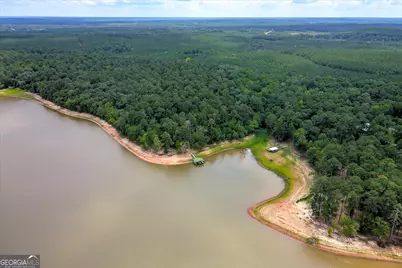 1697 Broad River Scenic Drive, Tignall, GA 30668 - Photo 55