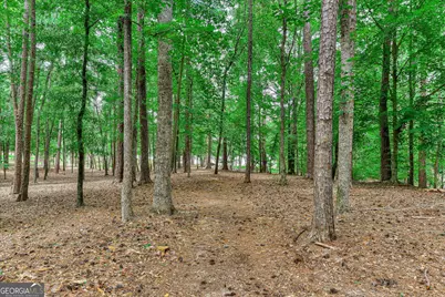 1697 Broad River Scenic Drive, Tignall, GA 30668 - Photo 49