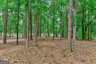 1697 Broad River Scenic Dr, Tignall, GA 30668 - Photo 49