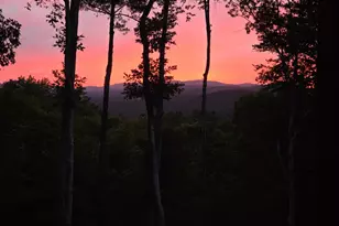 195 Moonshine Wy, Blue Ridge, GA 30513 - Photo 3