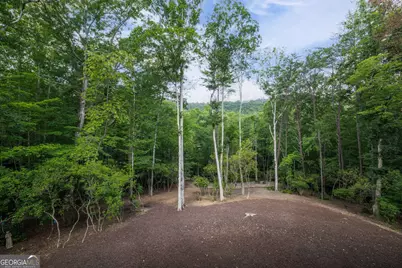 195 Moonshine Way, Blue Ridge, GA 30513 - Photo 45
