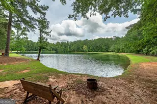 926 Perkins Rd, Milner, GA 30257 - Photo 5