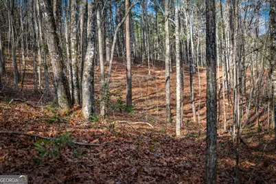 5.15 Ac Spence Road #11B, Blue Ridge, GA 30513 - Photo 17