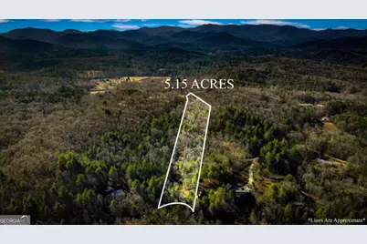 5.15 Ac Spence Road #11B, Blue Ridge, GA 30513 - Photo 3